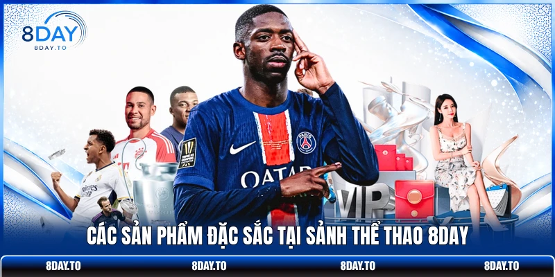 Thể Thao 8Day 2 Các sản phẩm đặc sắc tại sảnh thể thao 8DAY