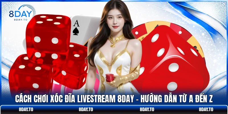 Cách Chơi Xóc Đĩa Livestream 8DAY - Hướng Dẫn Từ A Đến Z 1 Cách Chơi Xóc Đĩa Livestream 8DAY - Hướng Dẫn Từ A Đến Z
