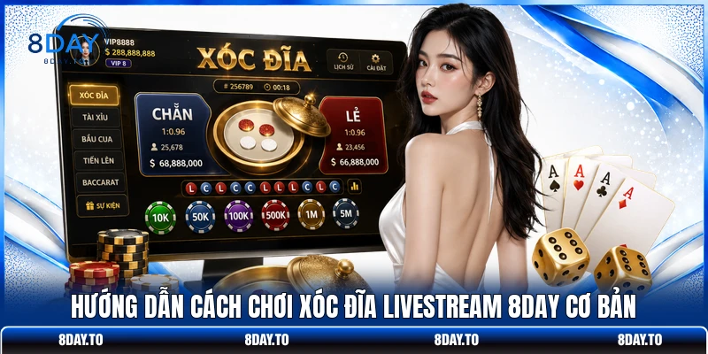 Cách Chơi Xóc Đĩa Livestream 8DAY - Hướng Dẫn Từ A Đến Z 2 Hướng dẫn cách chơi xóc đĩa livestream 8DAY cơ bản