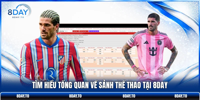 Thể Thao 8Day 1 Tìm hiểu tổng quan về sảnh thể thao tại 8DAY