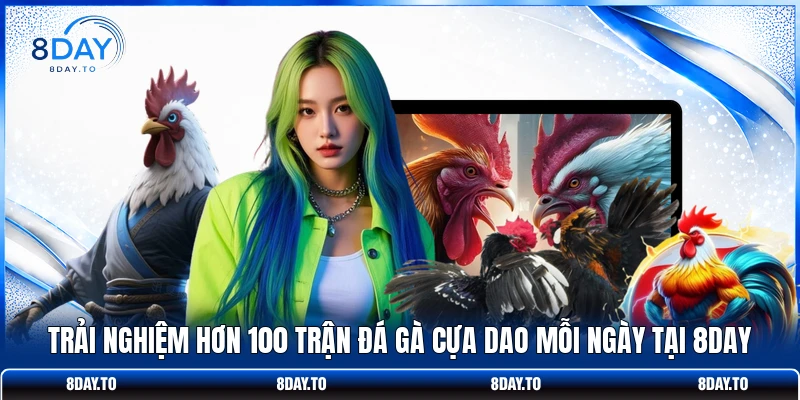 Đá gà 8Day 2 Trải nghiệm hơn 100 trận đá gà cựa dao mỗi ngày tại 8DAY