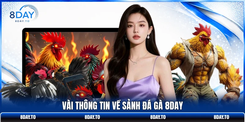 Đá gà 8Day 1 Vài thông tin về sảnh đá gà 8DAY